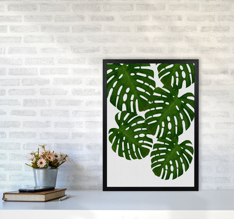 Monstera Leaf I Print By Orara Studio, Framed Botanical & Nature Art Print A2 White Frame