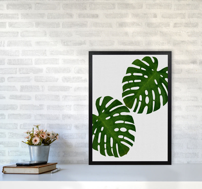 Monstera Leaf II Print By Orara Studio, Framed Botanical & Nature Art Print A2 White Frame