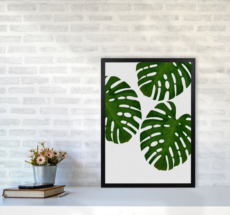Monstera Leaf III Print By Orara Studio, Framed Botanical & Nature Art Print A2 White Frame