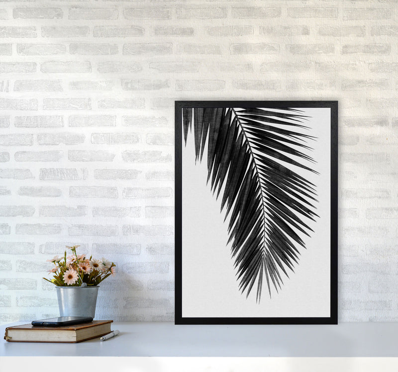 Palm Leaf Black & White I Print By Orara Studio A2 White Frame