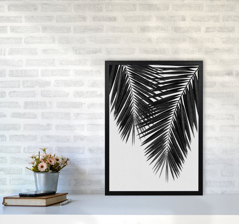 Palm Leaf Black & White II Print By Orara Studio A2 White Frame