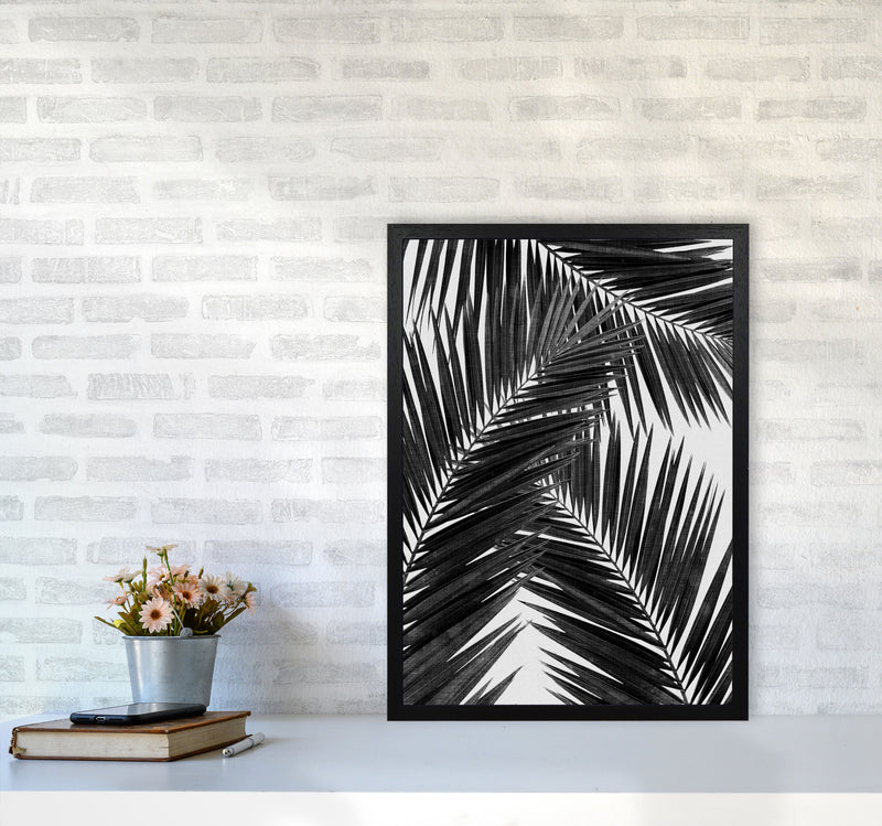 Palm Leaf Black & White III Print By Orara Studio A2 White Frame