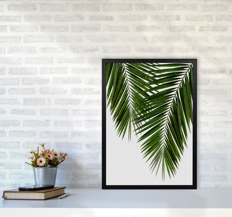 Palm Leaf II Print By Orara Studio, Framed Botanical & Nature Art Print A2 White Frame