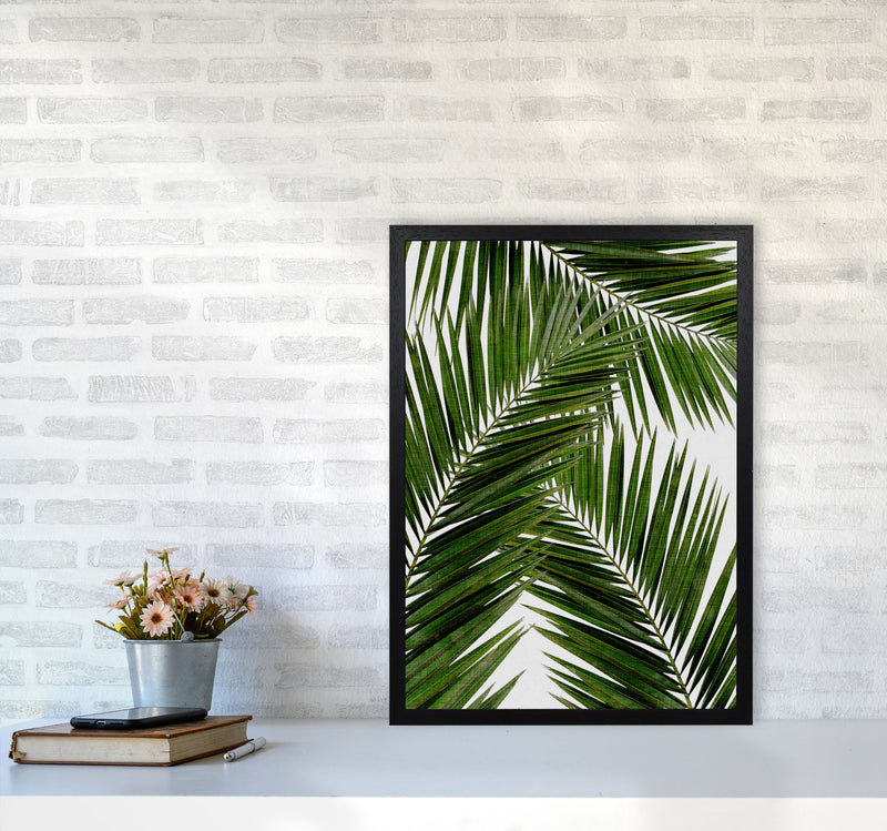 Palm Leaf III Print By Orara Studio, Framed Botanical & Nature Art Print A2 White Frame