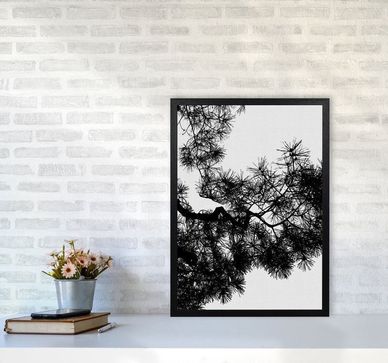 Pine Tree Black & White Print By Orara Studio A2 White Frame