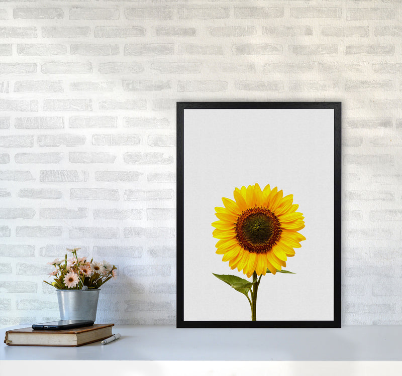 Sunflower Still Life Print By Orara Studio, Framed Botanical & Nature Art Print A2 White Frame