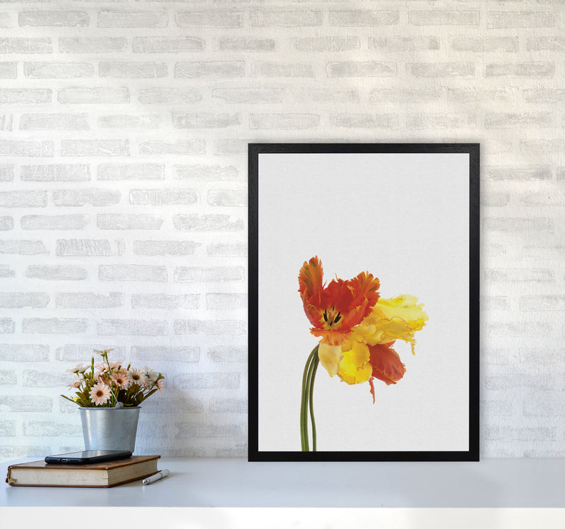 Tulip Still Life Print By Orara Studio, Framed Botanical & Nature Art Print A2 White Frame