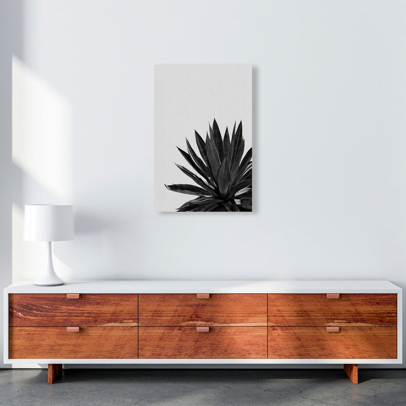 Agave Cactus Black And White Print By Orara Studio, Framed Botanical Nature Art A2 Canvas