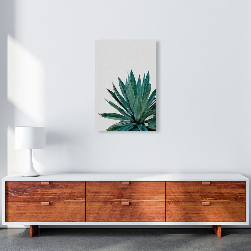 Agave Cactus Print By Orara Studio, Framed Botanical & Nature Art Print A2 Canvas