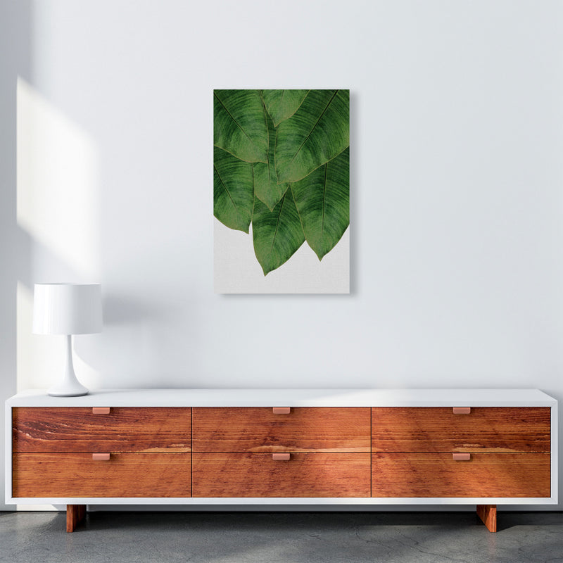 Banana Leaf III Print By Orara Studio, Framed Botanical & Nature Art Print A2 Canvas