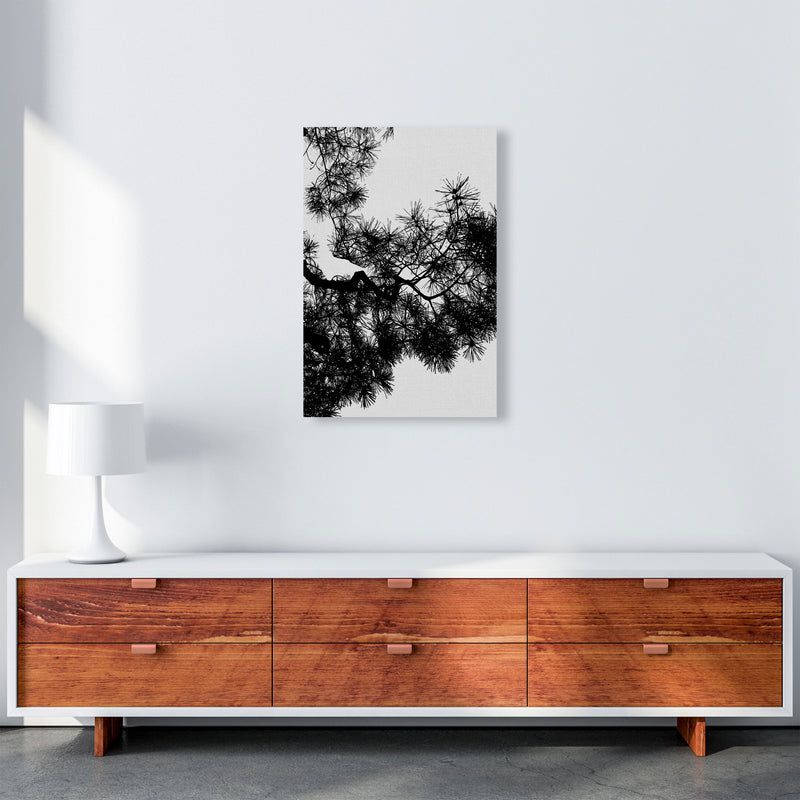 Pine Tree Black & White Print By Orara Studio A2 Canvas