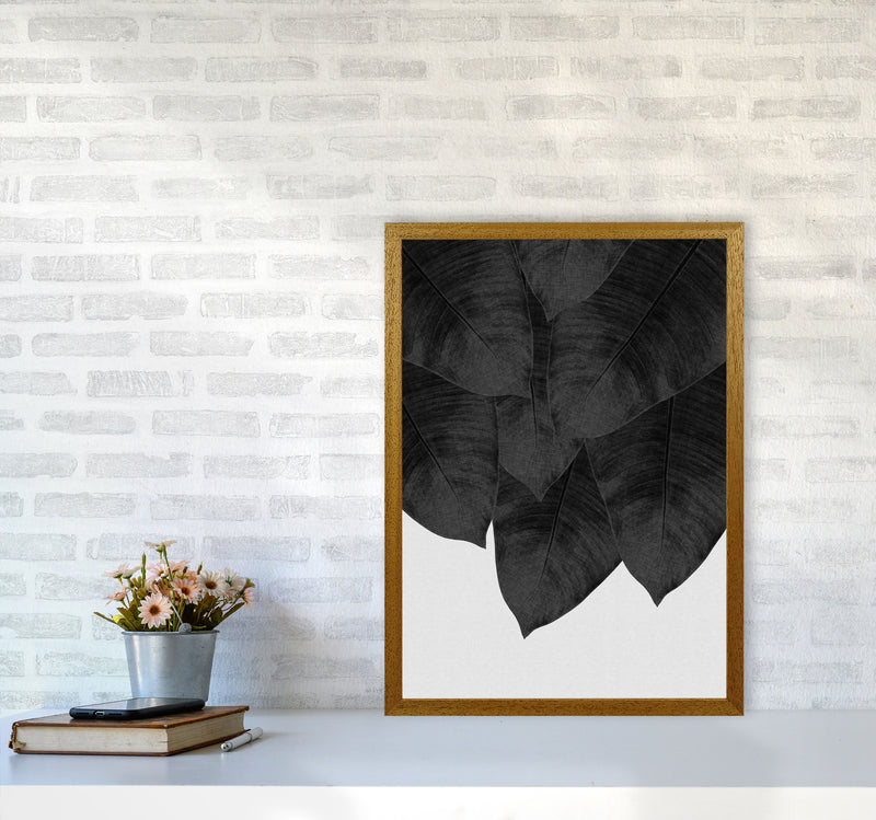 Banana Leaf Black & White III Print By Orara Studio A2 Print Only