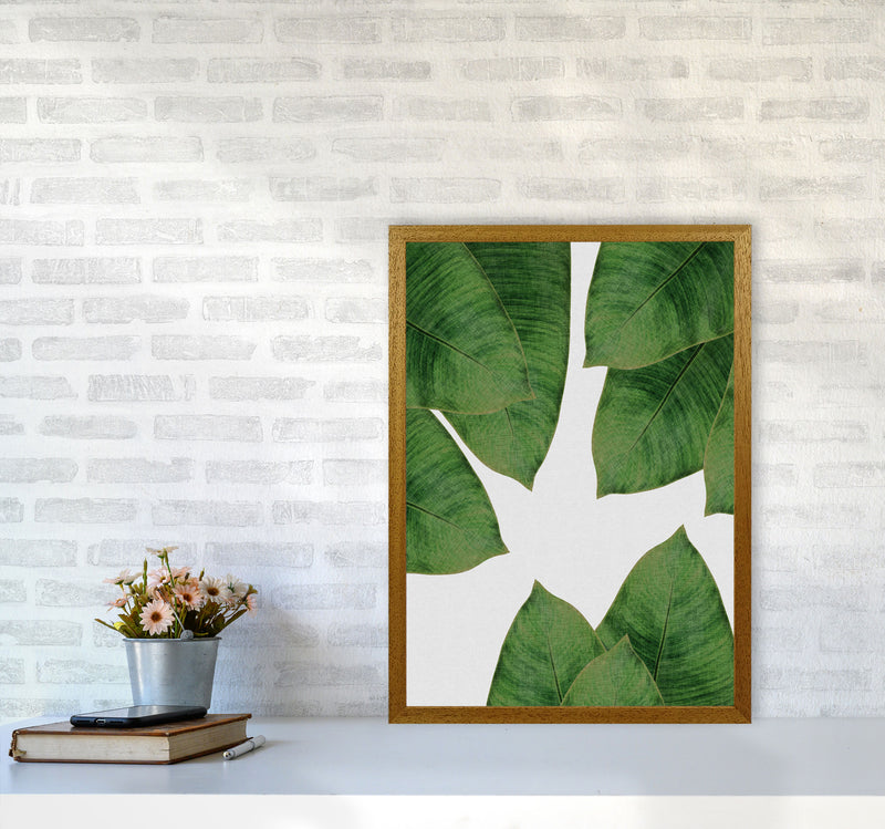 Banana Leaf I Print By Orara Studio, Framed Botanical & Nature Art Print A2 Print Only