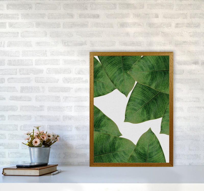 Banana Leaf II Print By Orara Studio, Framed Botanical & Nature Art Print A2 Print Only