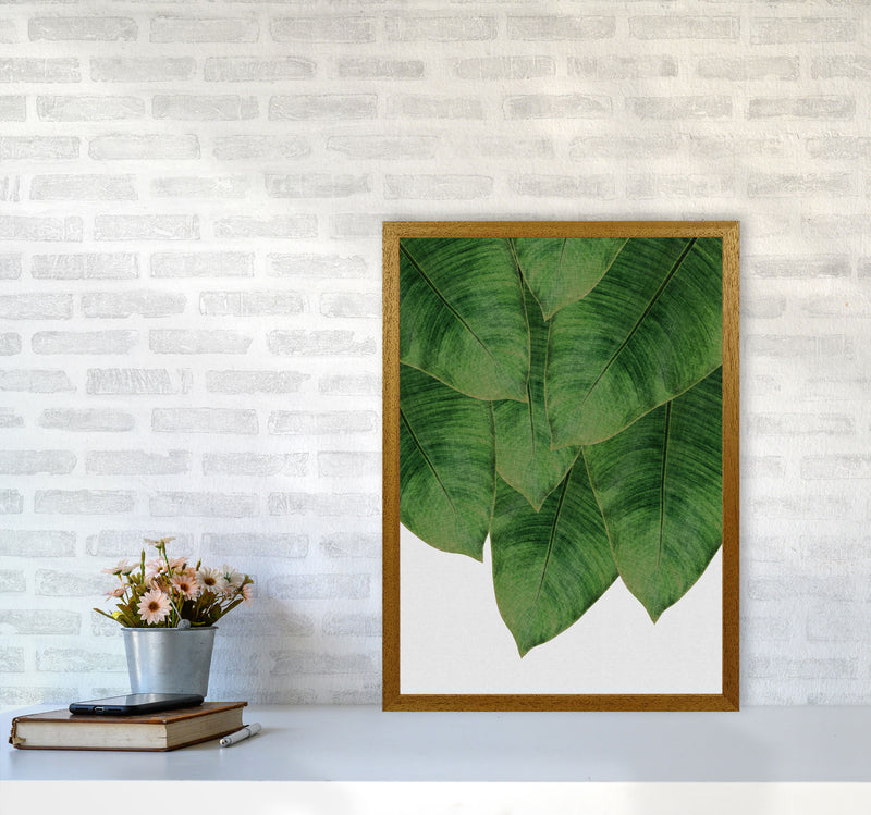 Banana Leaf III Print By Orara Studio, Framed Botanical & Nature Art Print A2 Print Only