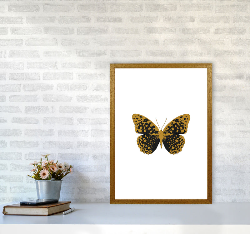 Black Butterfly Print By Orara Studio Animal Art Print A2 Print Only