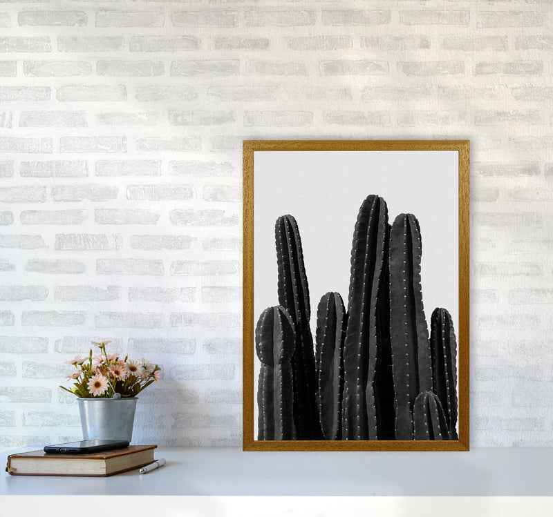 Cactus Black And White Print By Orara Studio, Framed Botanical Art A2 Print Only