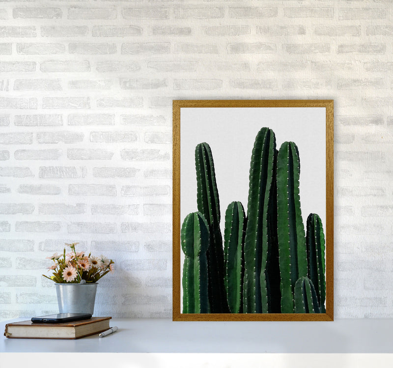 Cactus I Print By Orara Studio, Framed Botanical & Nature Art Print A2 Print Only