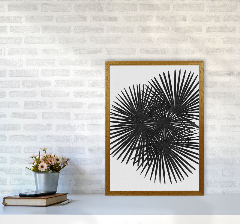 Fan Palm Black & White Print By Orara Studio A2 Print Only