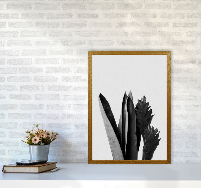 Flower Black & White Print By Orara Studio A2 Print Only