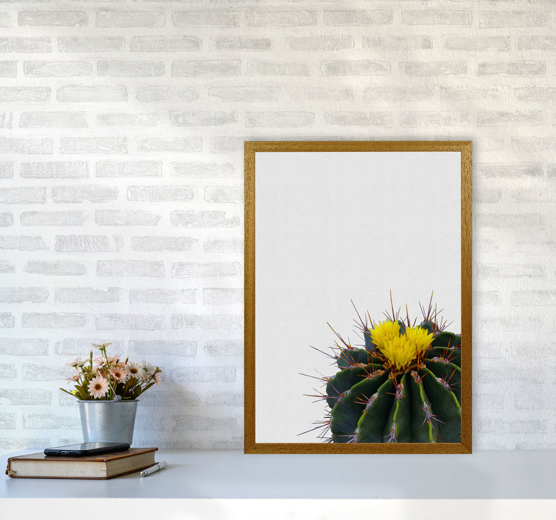 Flower Cactus Print By Orara Studio, Framed Botanical & Nature Art Print A2 Print Only