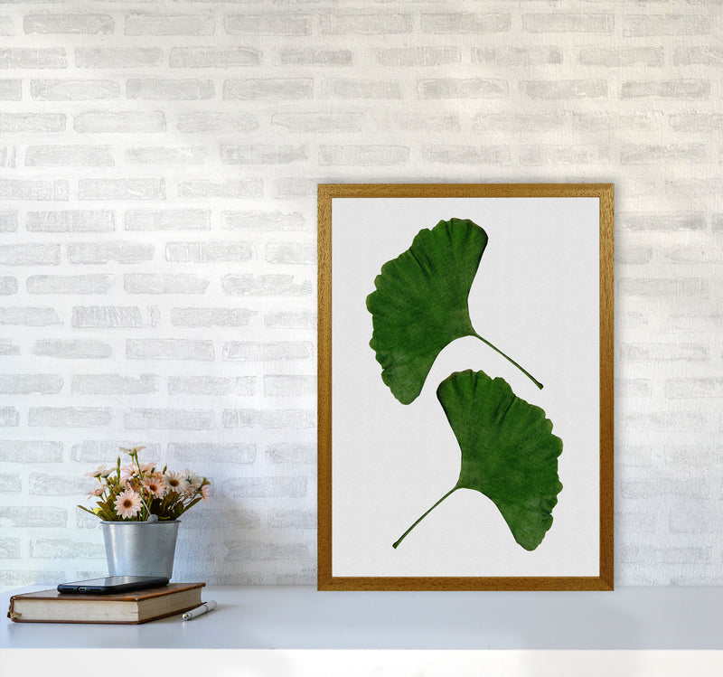 Ginkgo Leaf II Print By Orara Studio, Framed Botanical & Nature Art Print A2 Print Only