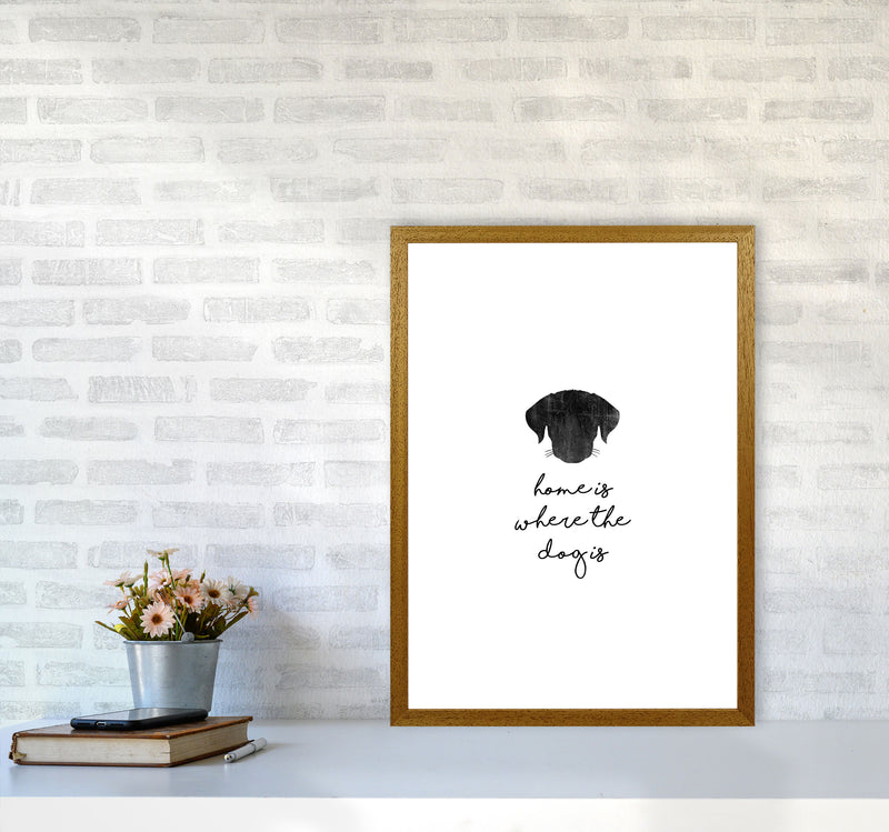 Home Is Where The Dog Is Print By Orara Studio Animal Art Print A2 Print Only