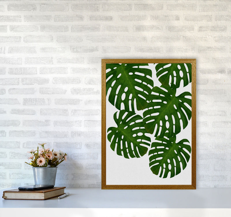 Monstera Leaf I Print By Orara Studio, Framed Botanical & Nature Art Print A2 Print Only