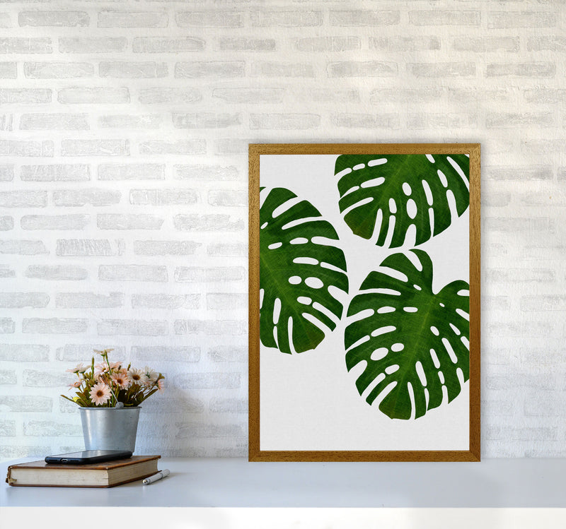 Monstera Leaf III Print By Orara Studio, Framed Botanical & Nature Art Print A2 Print Only