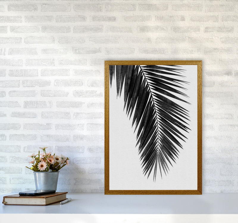 Palm Leaf Black & White I Print By Orara Studio A2 Print Only