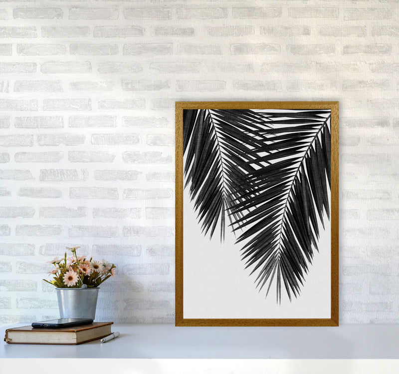 Palm Leaf Black & White II Print By Orara Studio A2 Print Only
