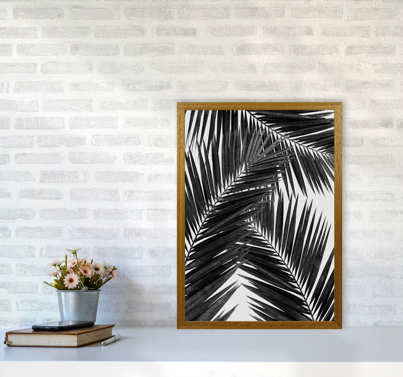 Palm Leaf Black & White III Print By Orara Studio A2 Print Only