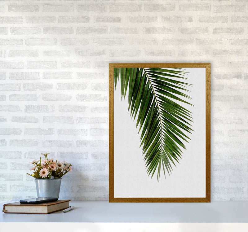 Palm Leaf I Print By Orara Studio, Framed Botanical & Nature Art Print A2 Print Only