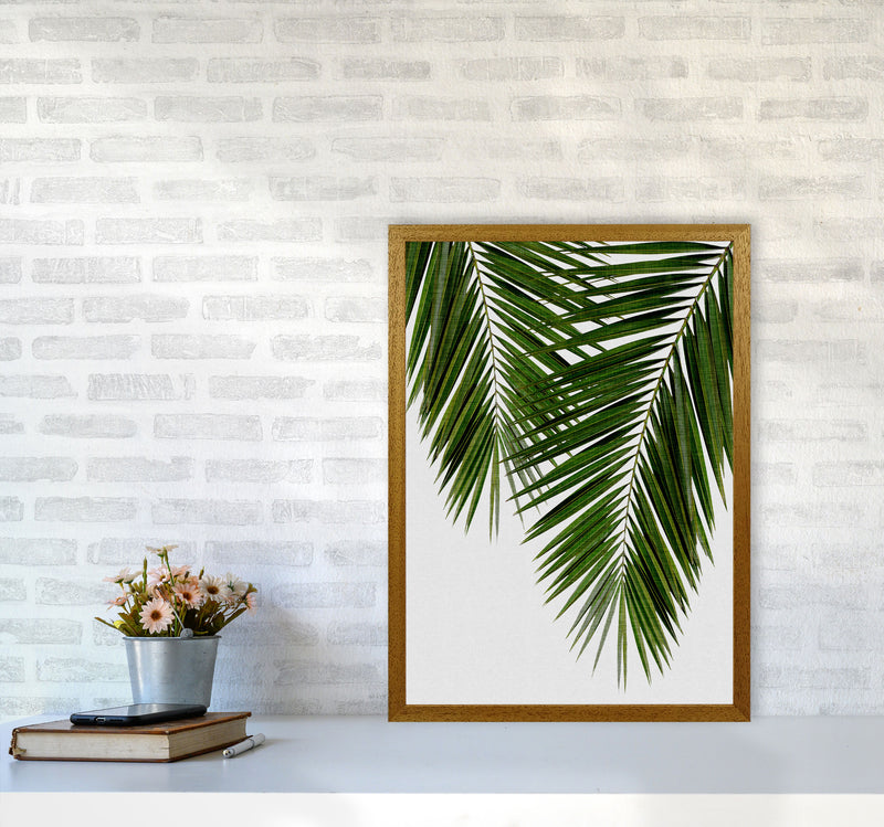 Palm Leaf II Print By Orara Studio, Framed Botanical & Nature Art Print A2 Print Only