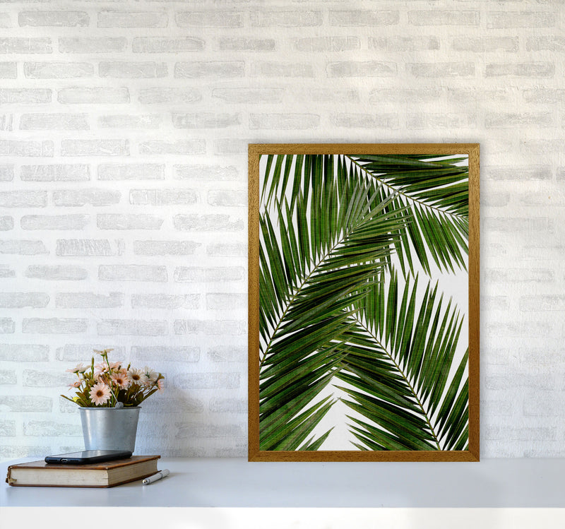 Palm Leaf III Print By Orara Studio, Framed Botanical & Nature Art Print A2 Print Only