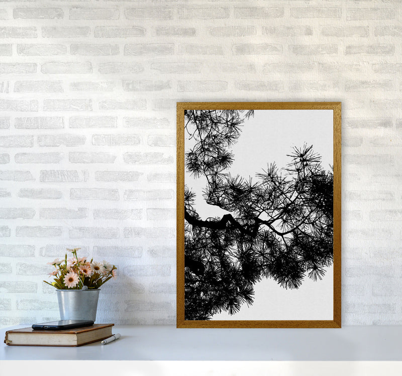 Pine Tree Black & White Print By Orara Studio A2 Print Only