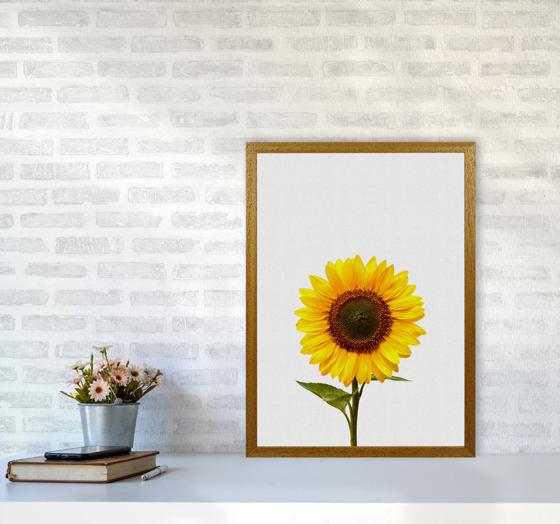 Sunflower Still Life Print By Orara Studio, Framed Botanical & Nature Art Print A2 Print Only