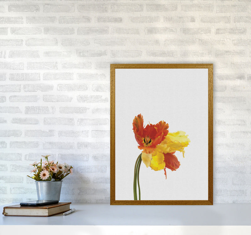 Tulip Still Life Print By Orara Studio, Framed Botanical & Nature Art Print A2 Print Only