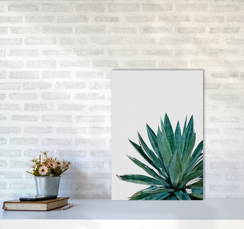 Agave Cactus Print By Orara Studio, Framed Botanical & Nature Art Print A2 Black Frame