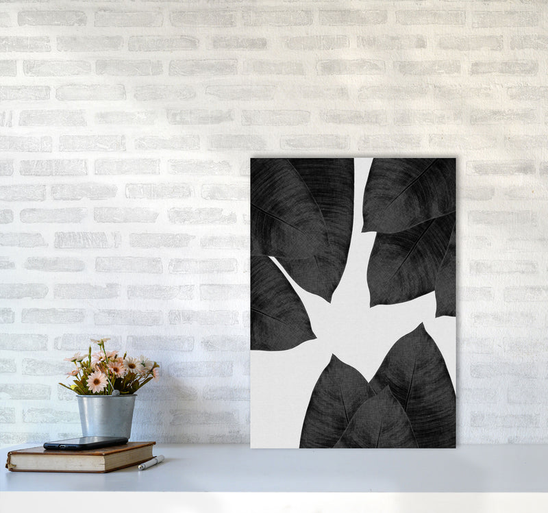 Banana Leaf Black & White I Print By Orara Studio A2 Black Frame