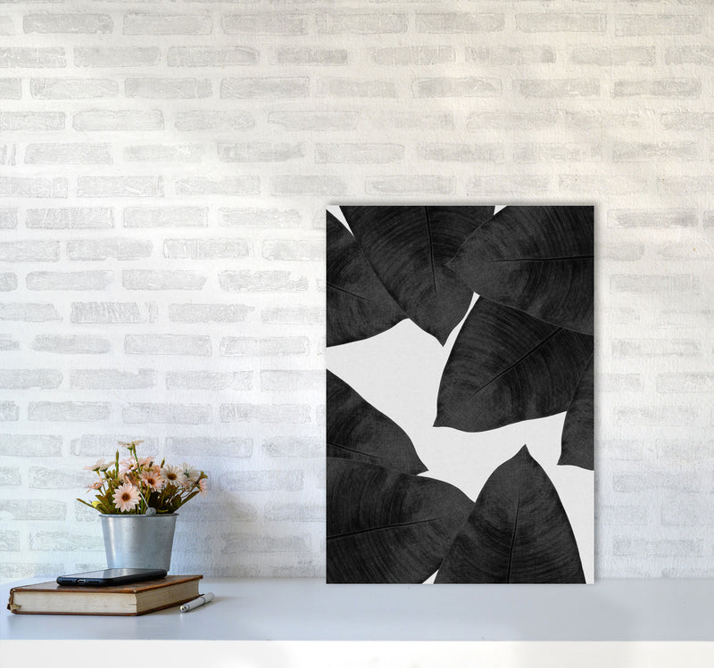 Banana Leaf Black & White II Print By Orara Studio A2 Black Frame