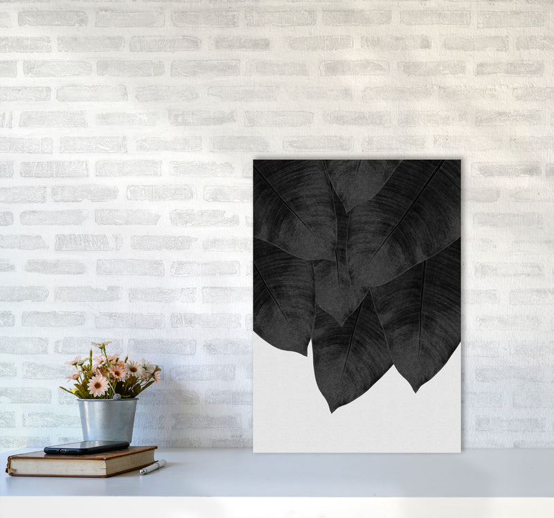 Banana Leaf Black & White III Print By Orara Studio A2 Black Frame