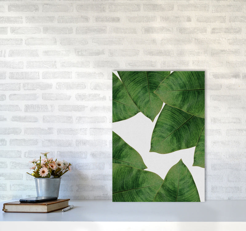 Banana Leaf II Print By Orara Studio, Framed Botanical & Nature Art Print A2 Black Frame