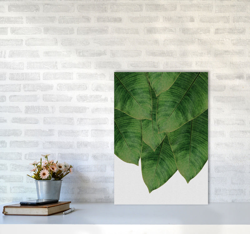 Banana Leaf III Print By Orara Studio, Framed Botanical & Nature Art Print A2 Black Frame