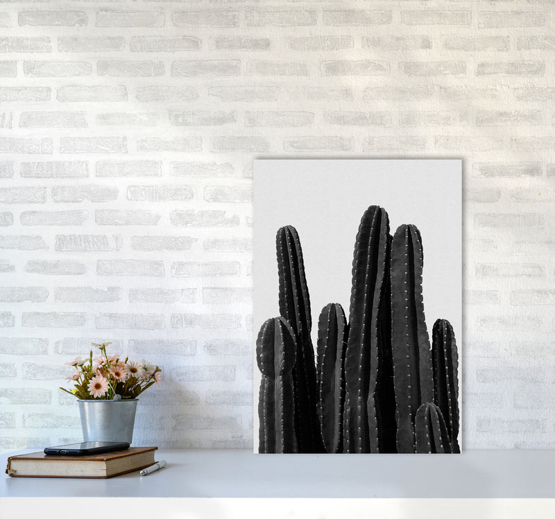 Cactus Black And White Print By Orara Studio, Framed Botanical Art A2 Black Frame