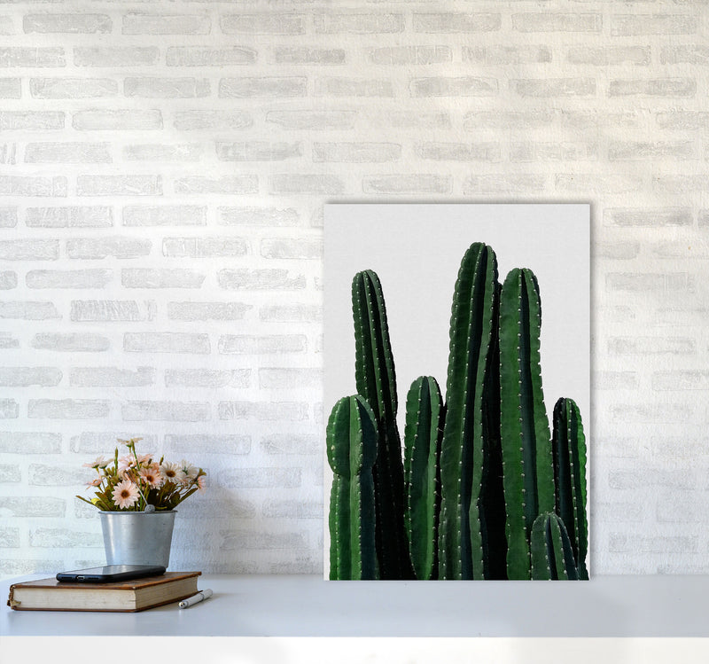 Cactus I Print By Orara Studio, Framed Botanical & Nature Art Print A2 Black Frame