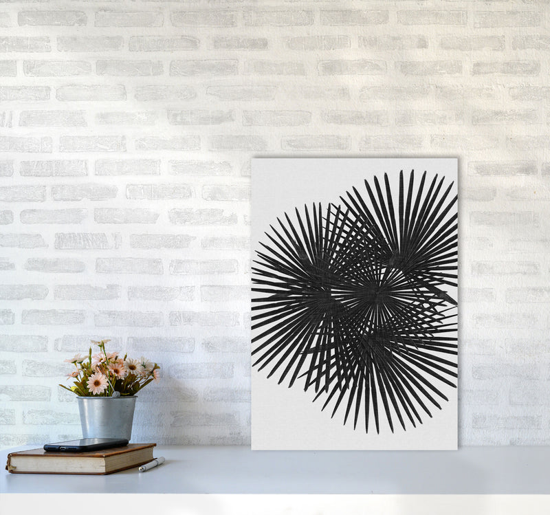 Fan Palm Black & White Print By Orara Studio A2 Black Frame