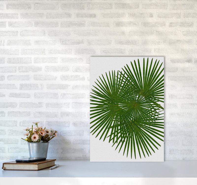 Fan Palm Print By Orara Studio, Framed Botanical & Nature Art Print A2 Black Frame