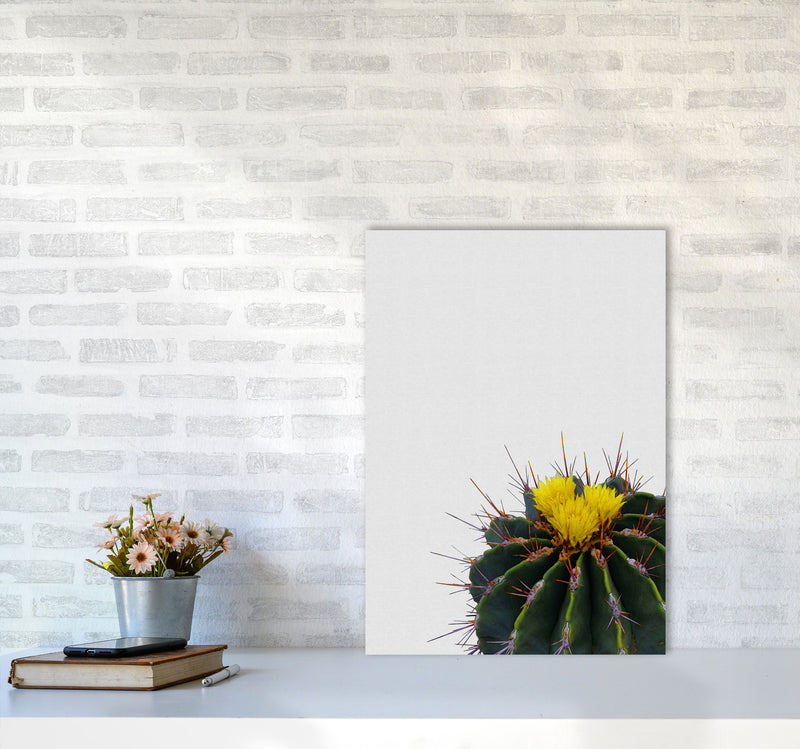 Flower Cactus Print By Orara Studio, Framed Botanical & Nature Art Print A2 Black Frame