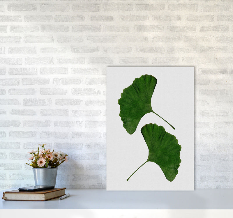 Ginkgo Leaf II Print By Orara Studio, Framed Botanical & Nature Art Print A2 Black Frame